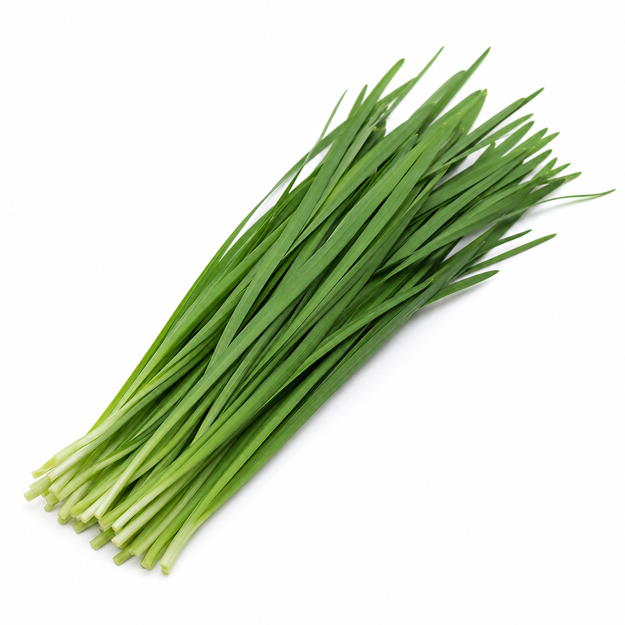 Chinese Chives | Gui Chai (100g)
