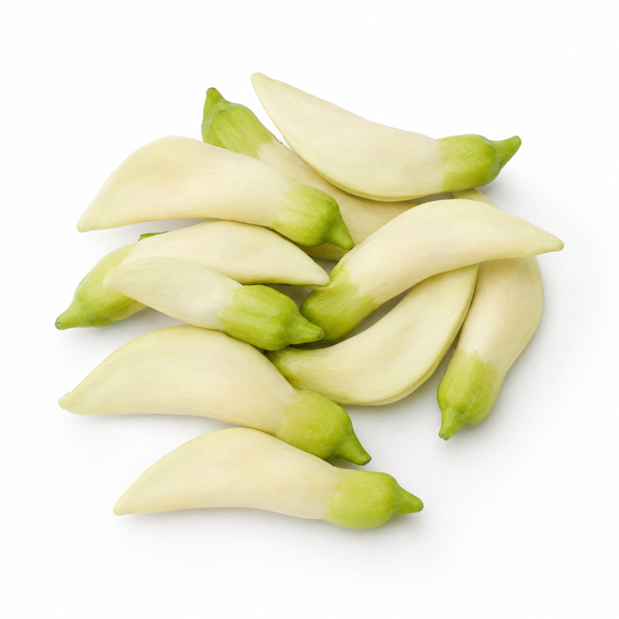 White Agasta Flower | Dok Khae (100g)