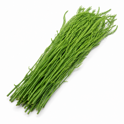 Acacia Shoots | Cha-Om (100g)