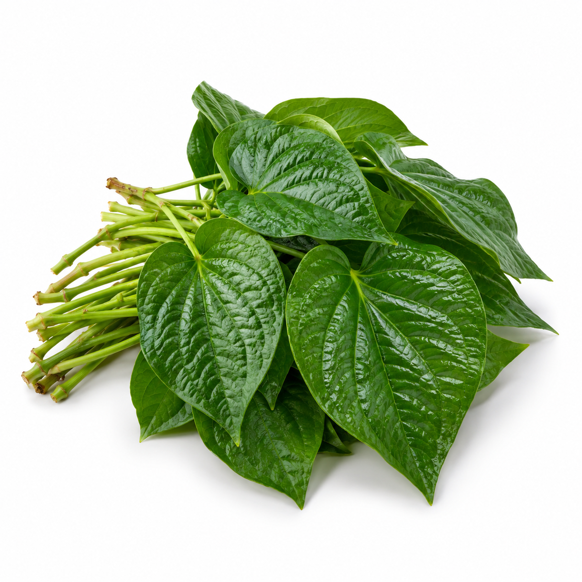 Wild Betel Leaves | Cha Plu (100g)
