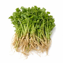 Coriander Root | Rak Phak Chi (100g)