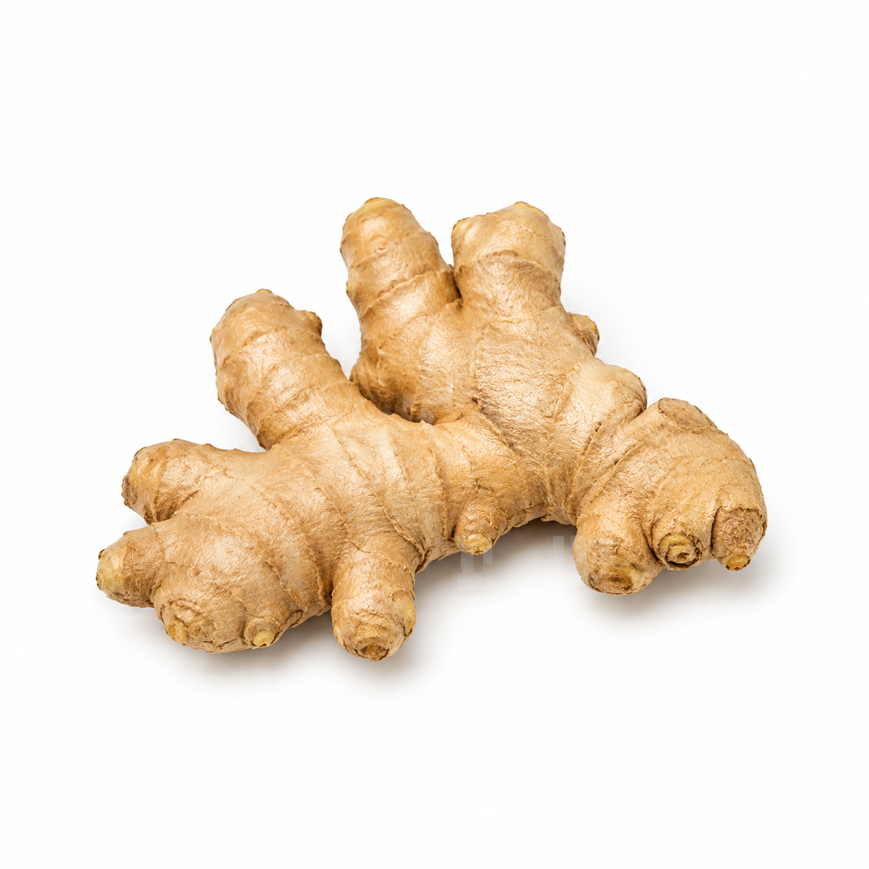 Fresh Ginger | Khing (Approx. 100g)