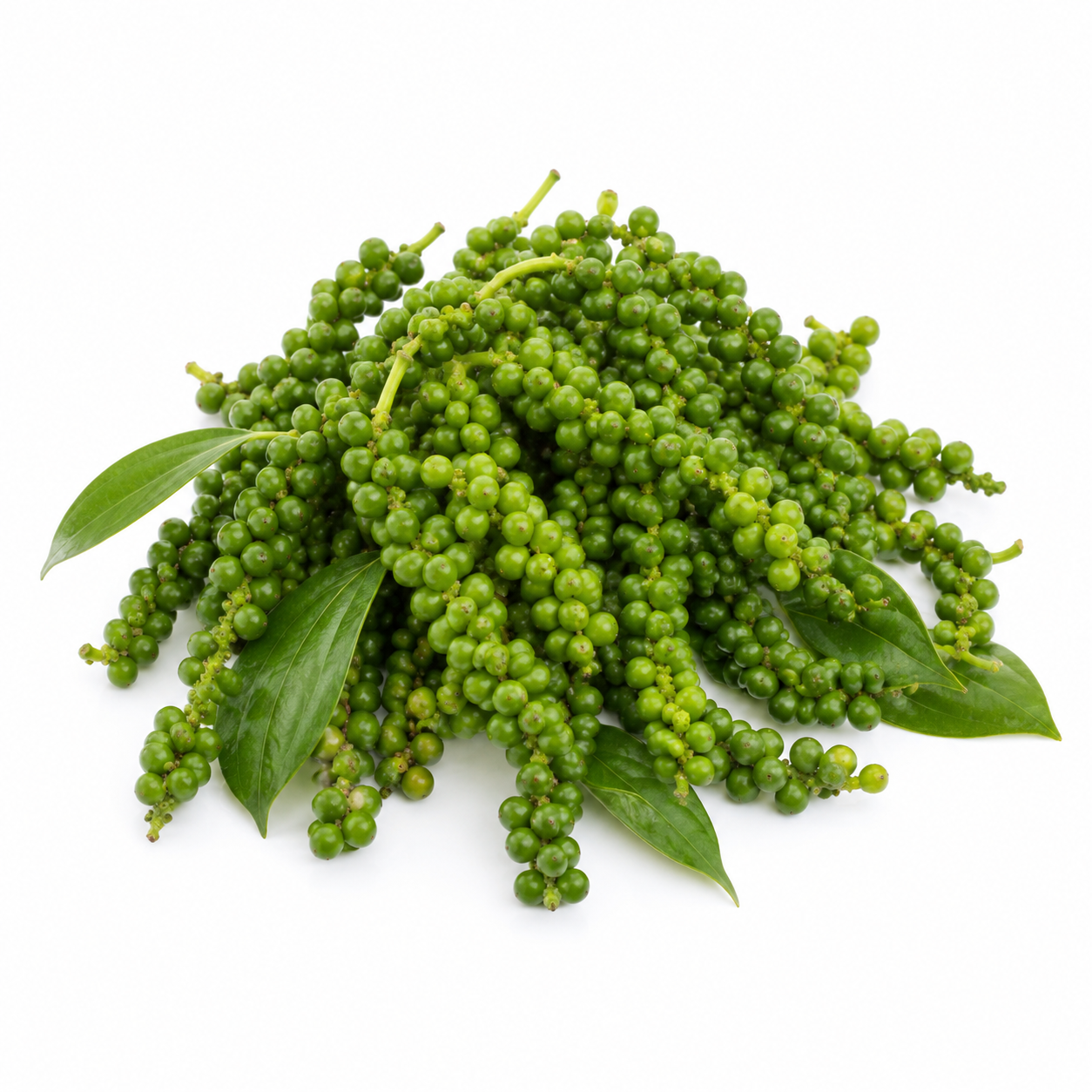 Young Green Peppercorns | Prik Thai On (100g)