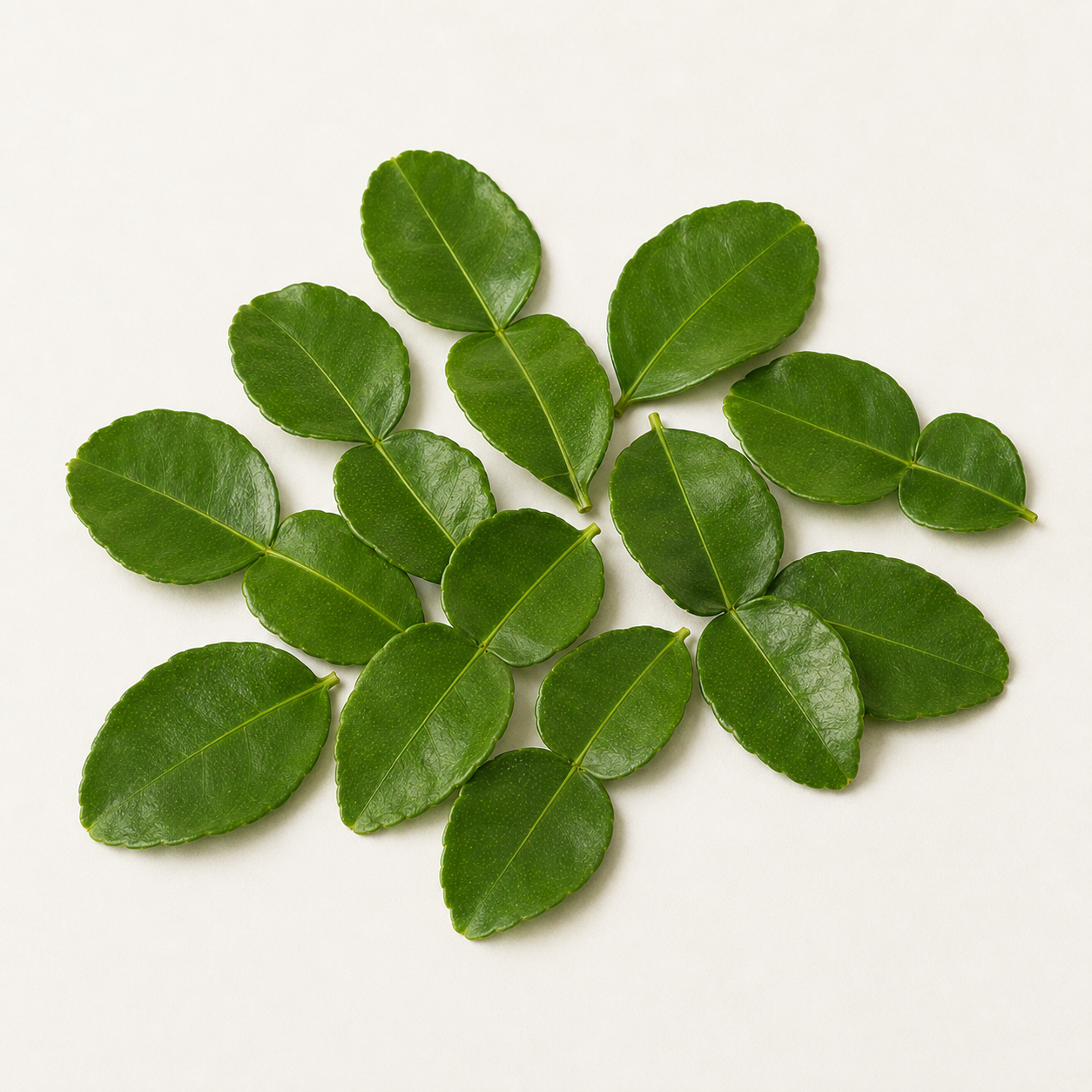 Kaffir Lime Leaves | Bai Makrut (50g)
