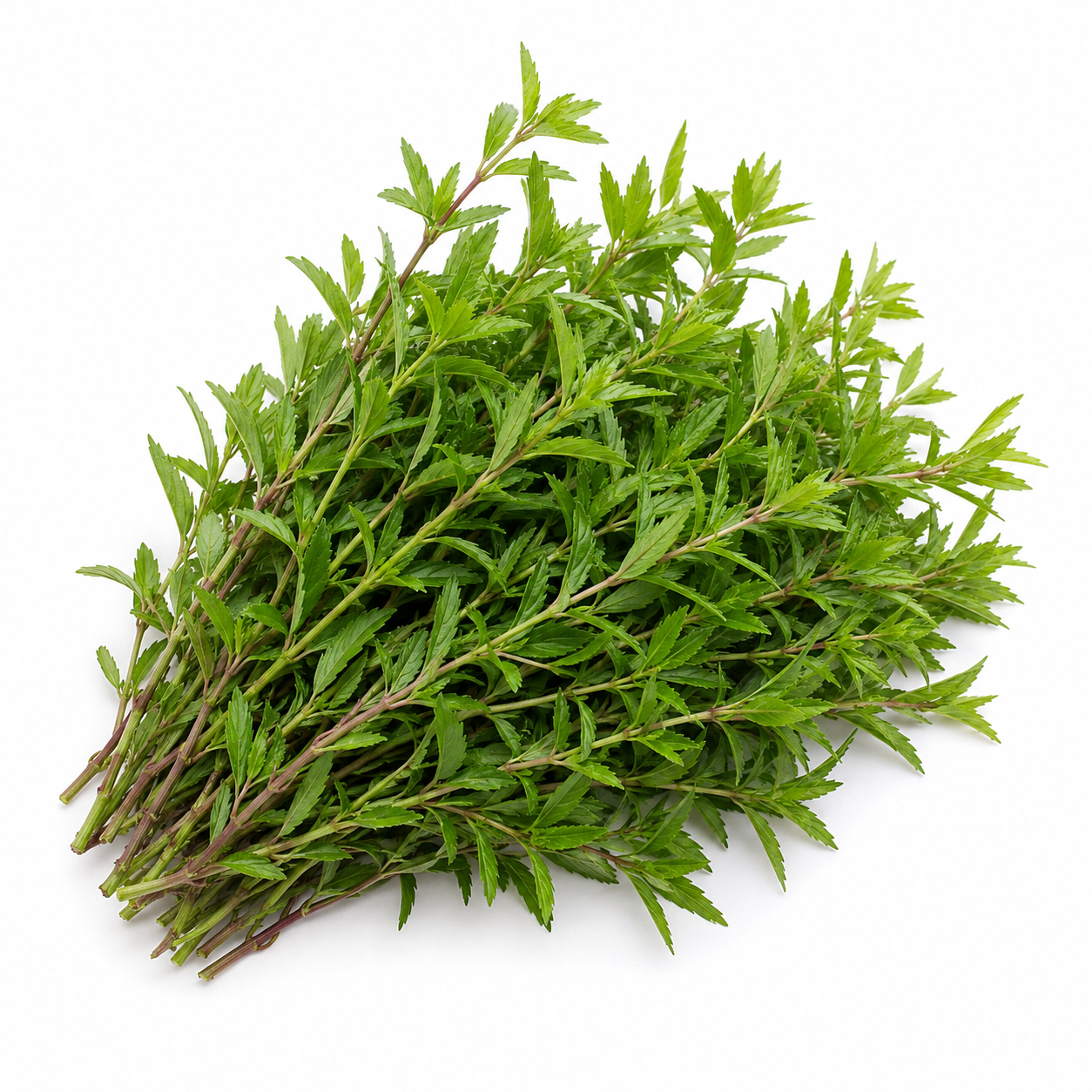 Kayang Leaf | Phak Kayang (100g)
