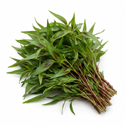 Vietnamese Coriander | Pak Praew (100g)