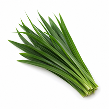 Pandan Leaf | Bai Toey (100g)
