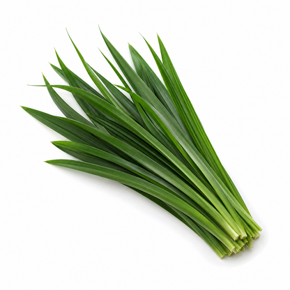 Pandan Leaf | Bai Toey (100g)
