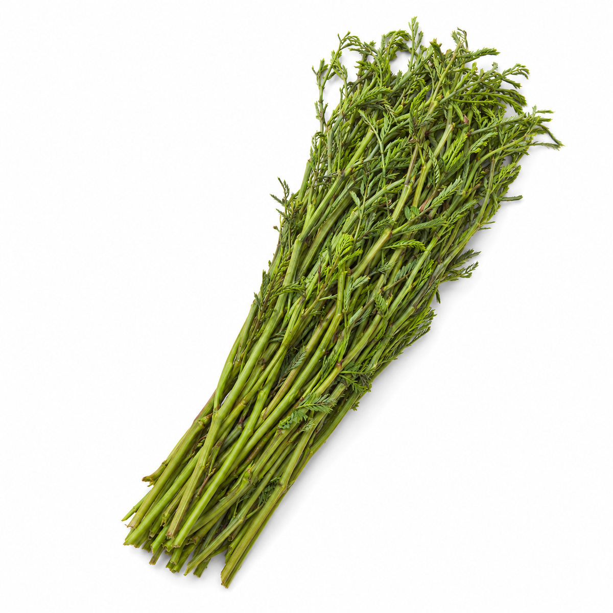 Water Mimosa | Pak Krachet (200g)
