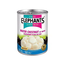 Twin Elephant & Earth Water Chestnut in Water Can